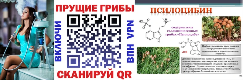Псилоцибиновые грибы прущие грибы  купить  сайты  Саранск 