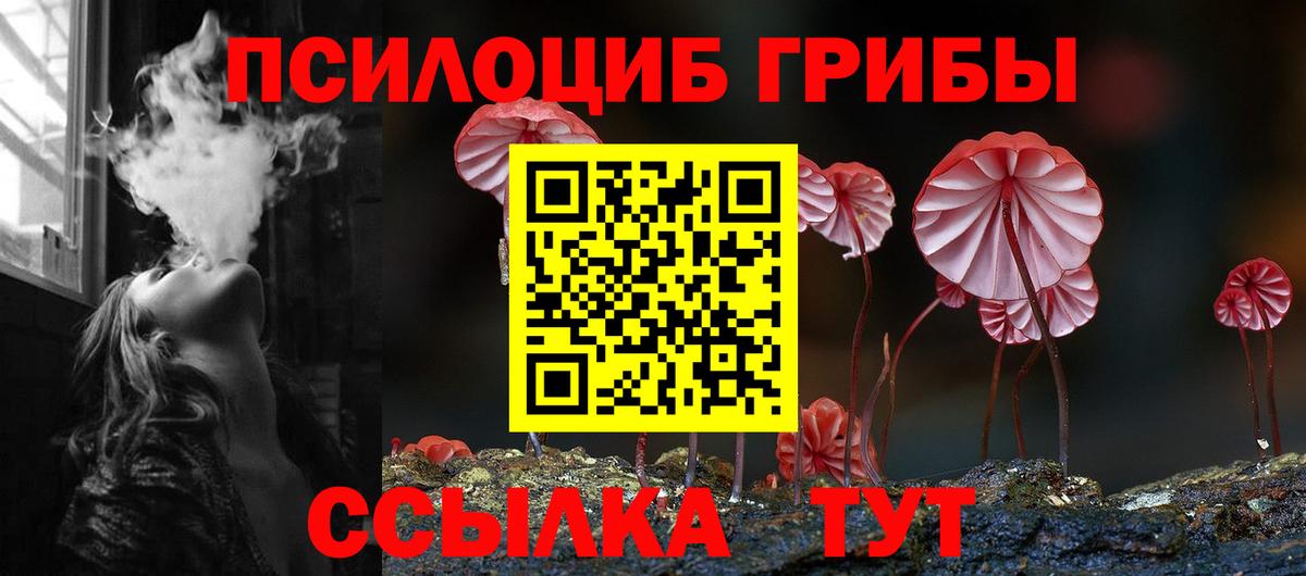 Галлюциногенные грибы мухоморы Саранск