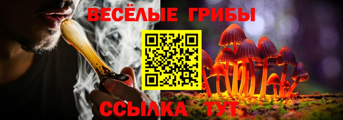 Псилоцибиновые грибы мицелий Саранск
